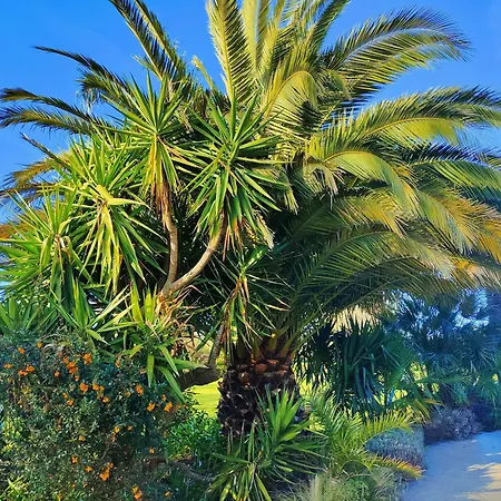Domaine De La Barbinais סן מלו